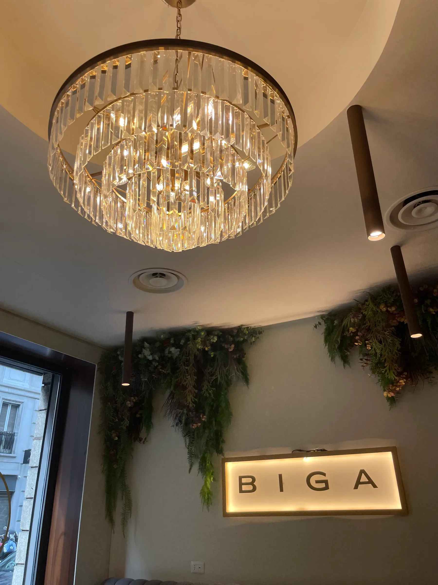 BIGA — IMG_4573