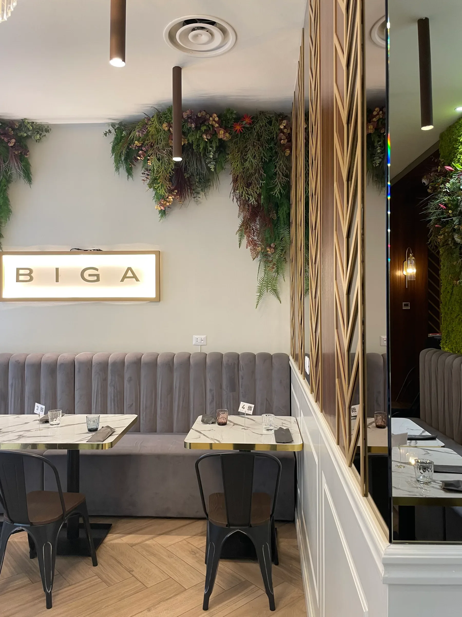 BIGA — IMG_4581