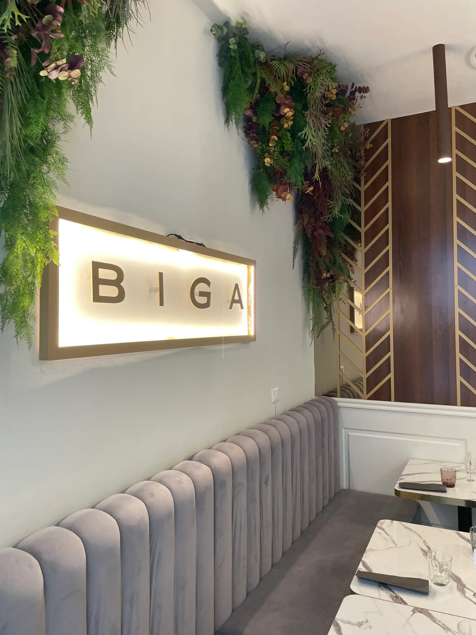 BIGA — IMG_4585