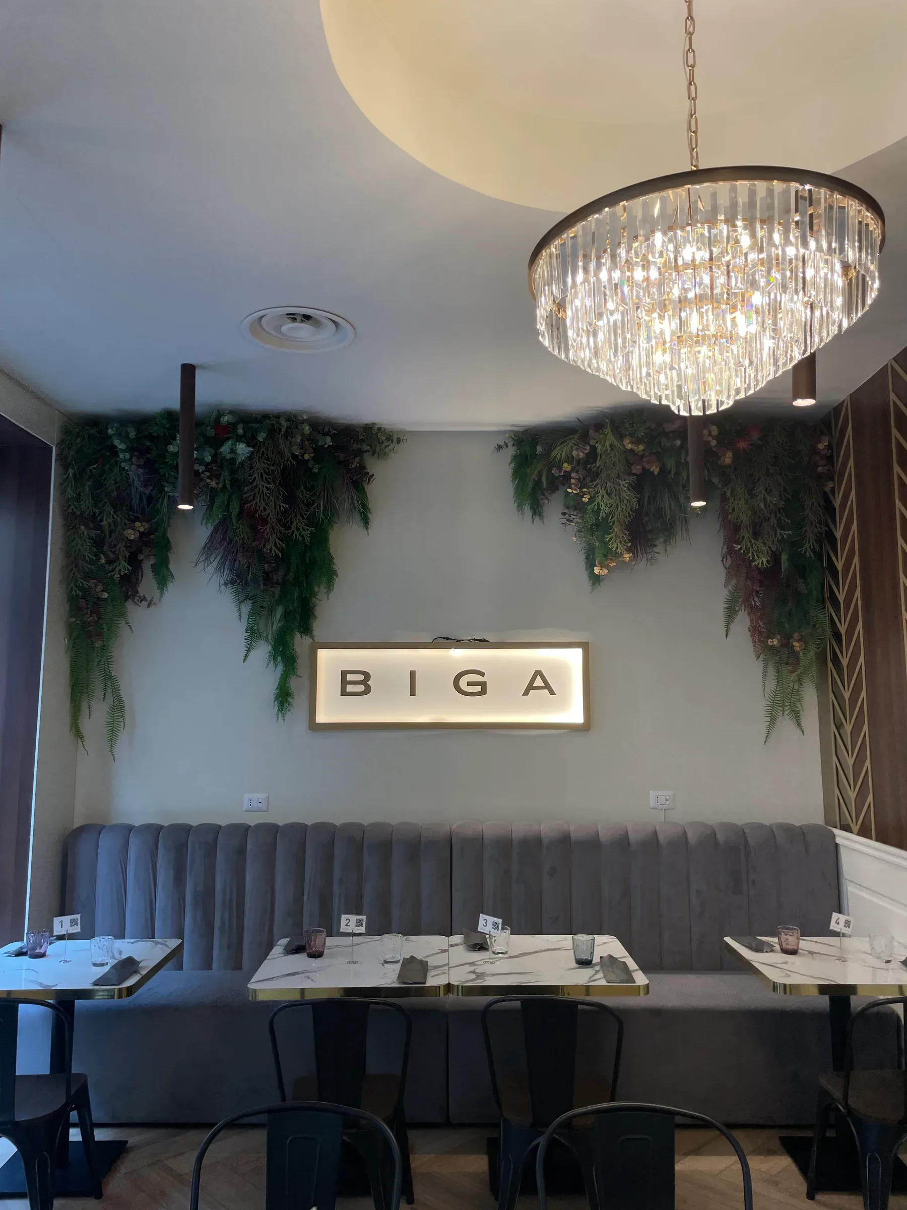 BIGA — IMG_4610